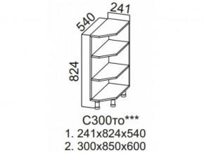 С300то Стол рабочий 300 (торцевой открытый) в Златоусте - zlatoust.magazin-mebel74.ru | фото