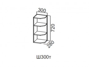 Ш300т/720 Шкаф навесной 300/720 (торцевой) в Златоусте - zlatoust.magazin-mebel74.ru | фото