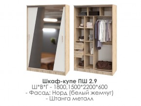 шкаф-купе ПШ-2.9 1500 Норд Белый жемчуг 1500 в Златоусте - zlatoust.magazin-mebel74.ru | фото