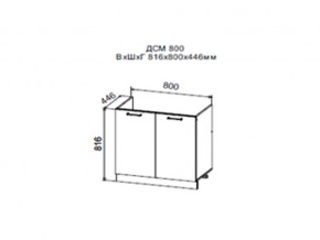 Шкаф нижний ДСМ800 под мойку в Златоусте - zlatoust.magazin-mebel74.ru | фото
