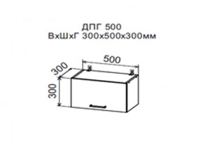 Шкаф верхний ДПГ500 горизонтальный в Златоусте - zlatoust.magazin-mebel74.ru | фото