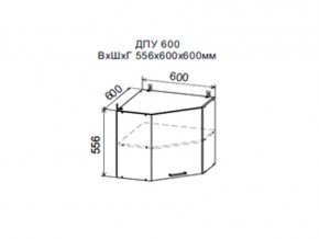 Шкаф верхний ДПУ600 угловой в Златоусте - zlatoust.magazin-mebel74.ru | фото